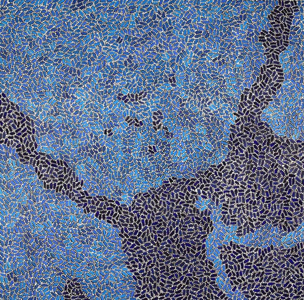 Aboriginal Art For Sale Sydney by Nathania Nangala Granites Bits of