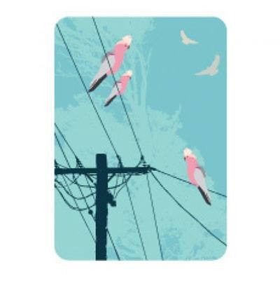 Australian Made Gifts & Souvenirs with the Galahs On The Line Magnet -by Mokoh Design. For the best Australian online shopping for a Magnets