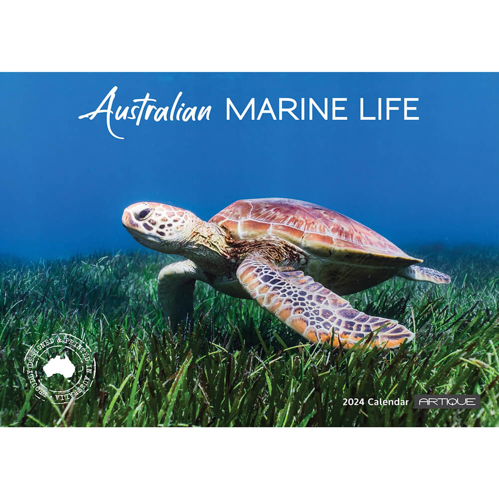 2024 Australian Marine Life Calendar for the Best Souvenirs from Australia