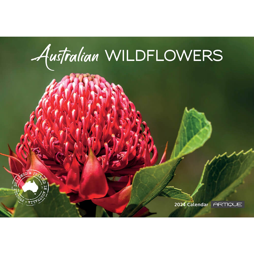 2024 Australian Wildflowers Calendar for the Best Souvenirs