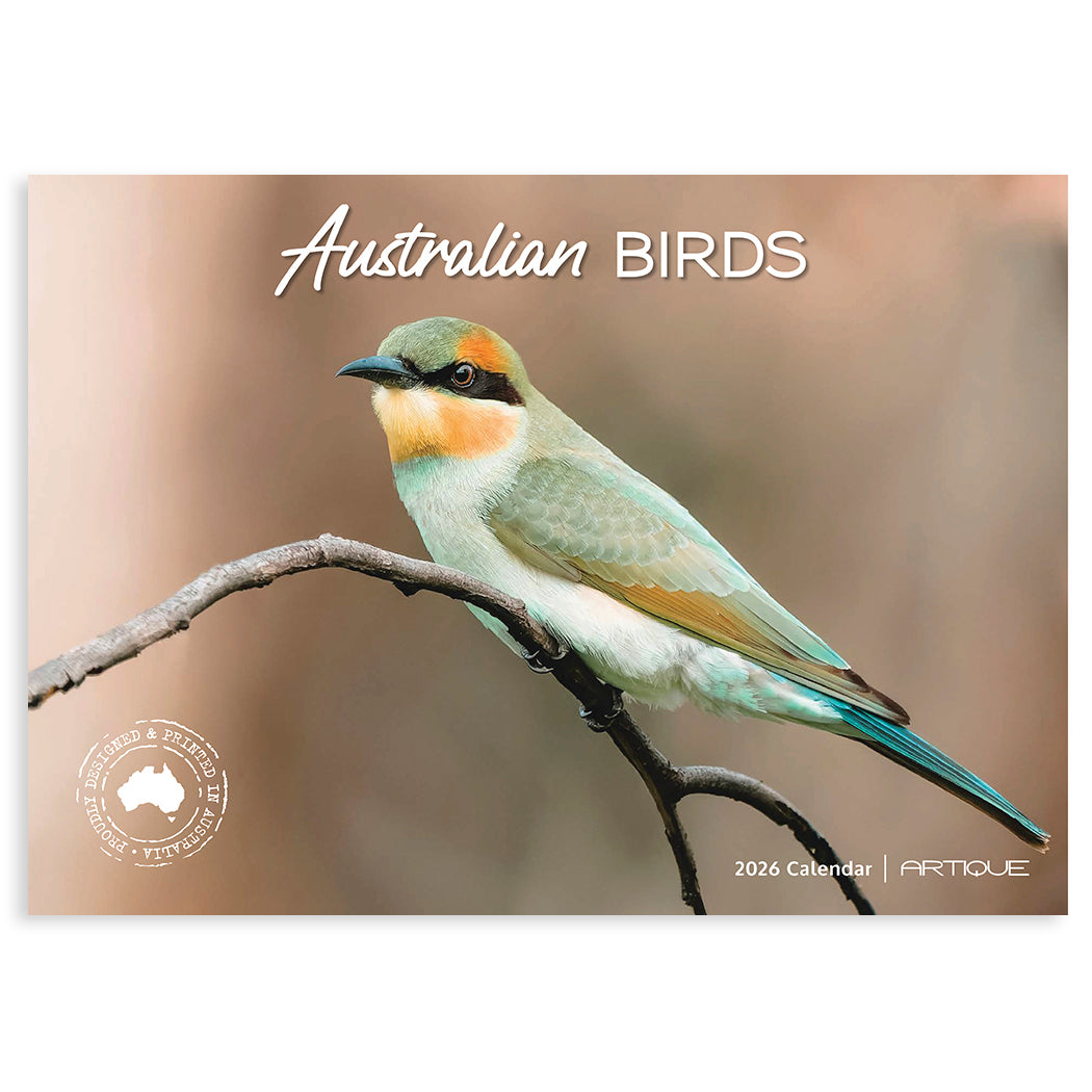 2026 Australian Bird Calendar for the Best Souvenirs