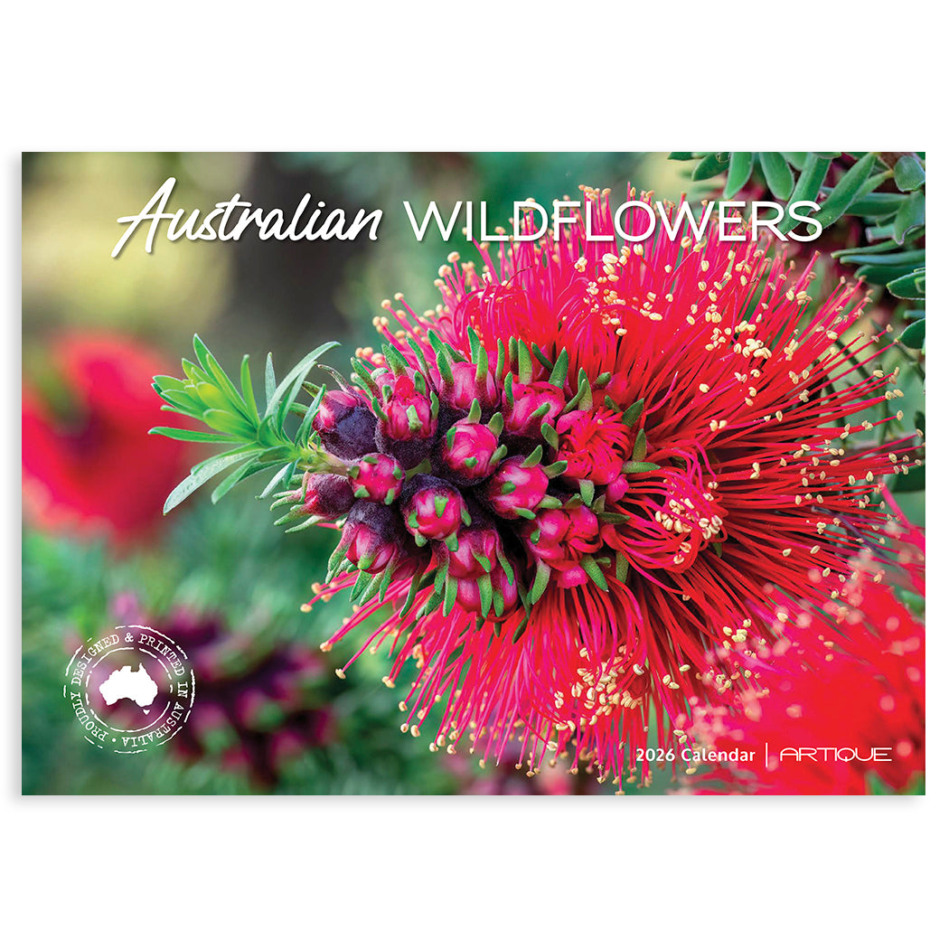 2026 Australian Wildflowers Calendar for Gifts to Send Overseas