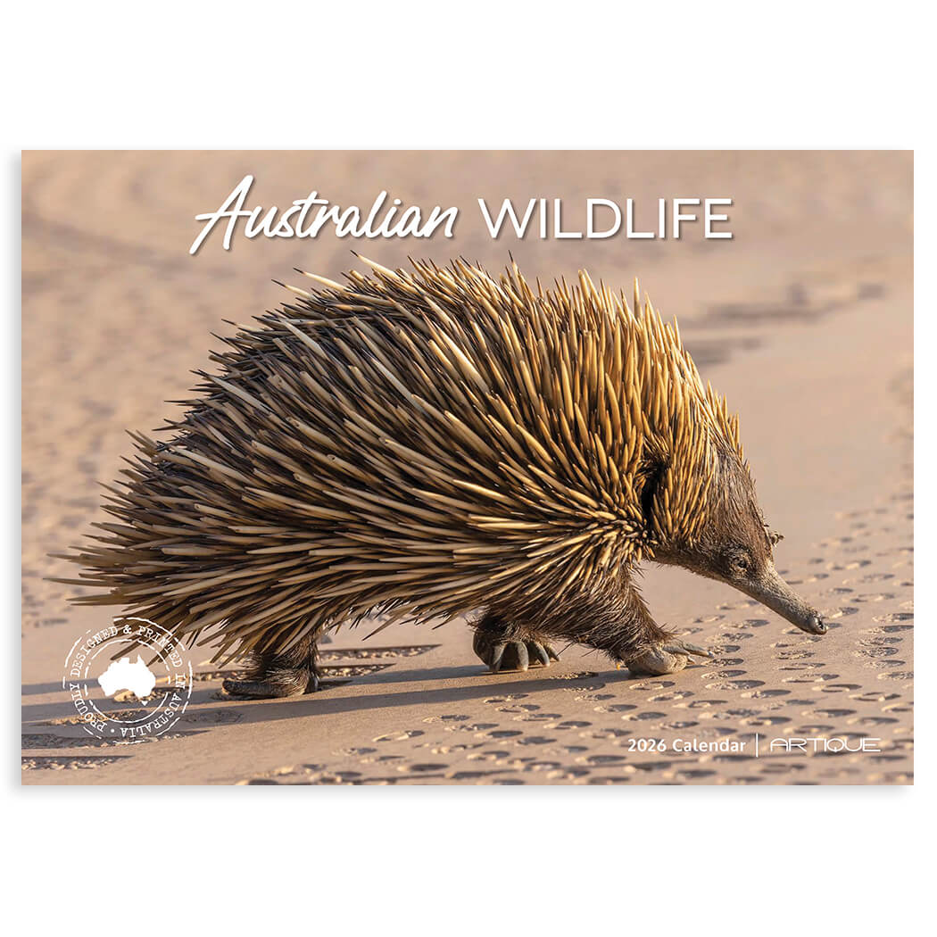 2026 Australian Wildlife Calendar for Made in Australia Souvenirs