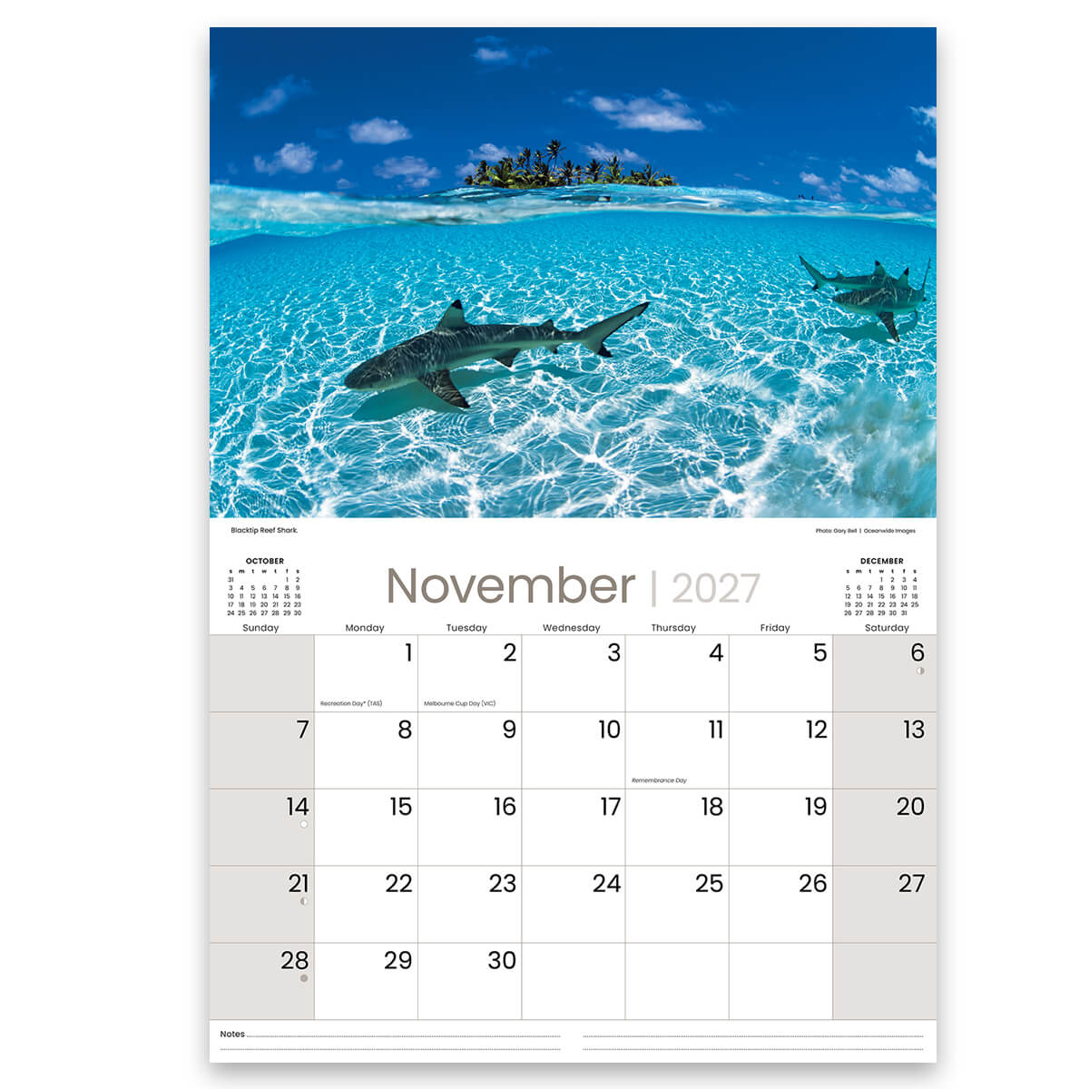 2027 Australian Marine Life Calendar for Made in Australia Souvenirs
