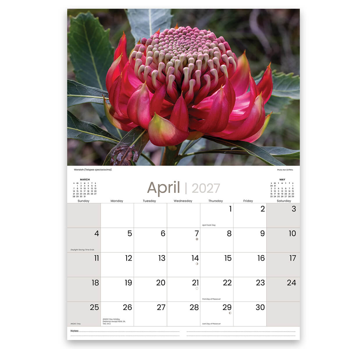 2027 Australian Wildflowers Calendar featuring waratah image for the best Australian souvenirs