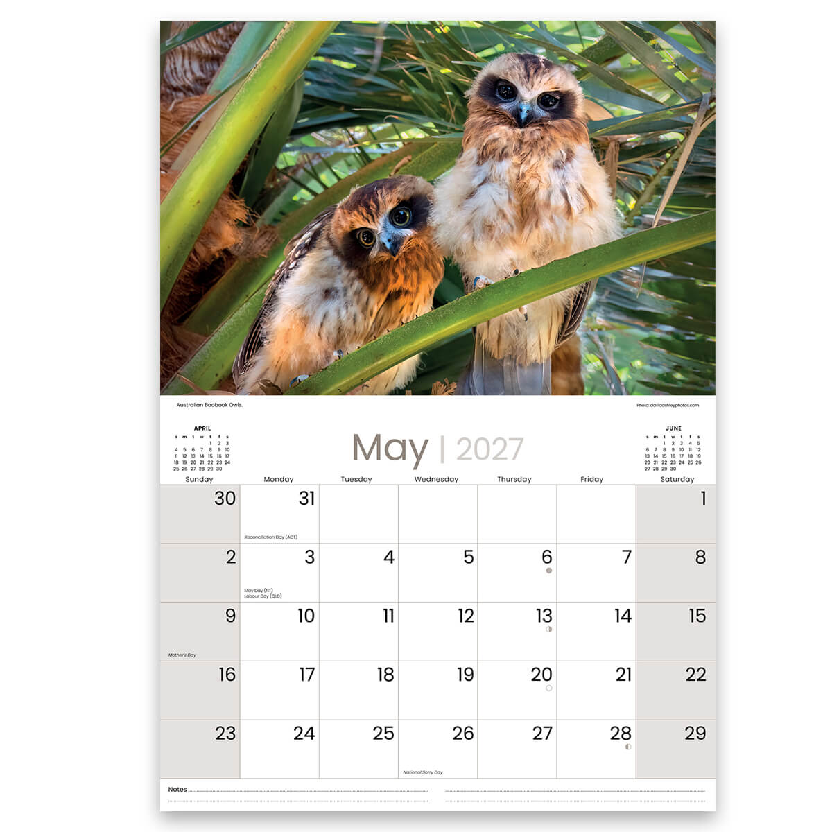 2027 Native Birds Calendar Australian Made for the Best Souvenirs