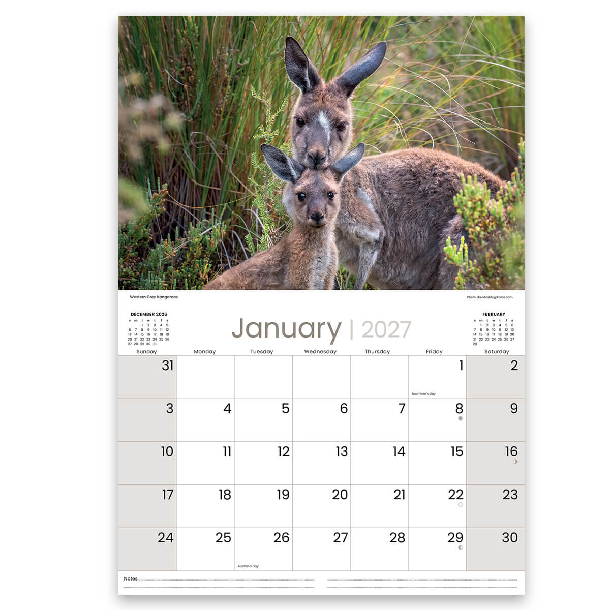 2027 Australian Wildlife Souvenir Calendar made in Australia Gifts