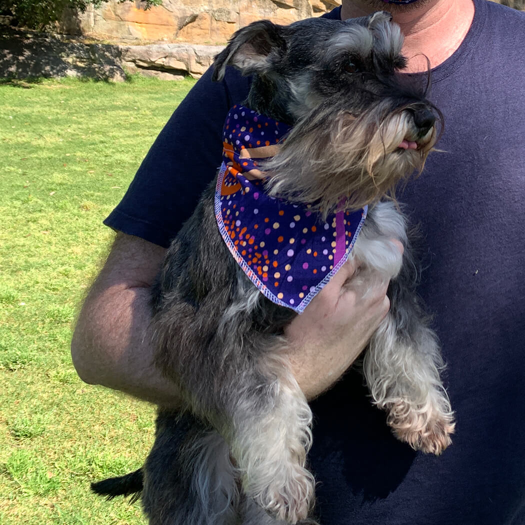 Aboriginal Art Pet Bandana by Alperstein Designs