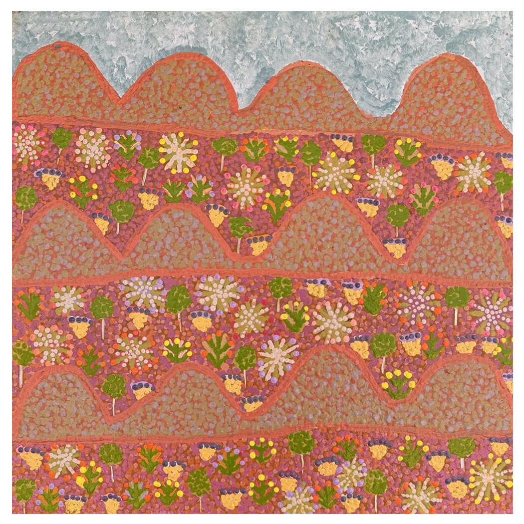 Aboriginal Art for Sale by Desma Ngwarraye Turner from the Artists of Ampilatwatja 373