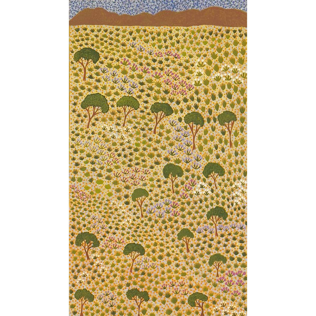 Aboriginal Art for sale by Diane Kemarre Ross from Artists of Ampilatwaja