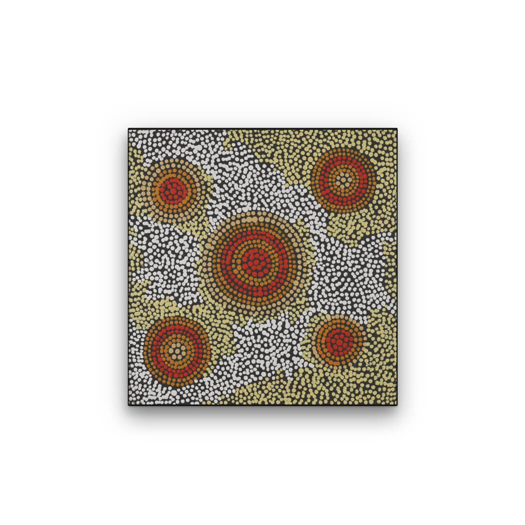 Aboriginal Art for Sale by Diona Nakamarra Williams 8804