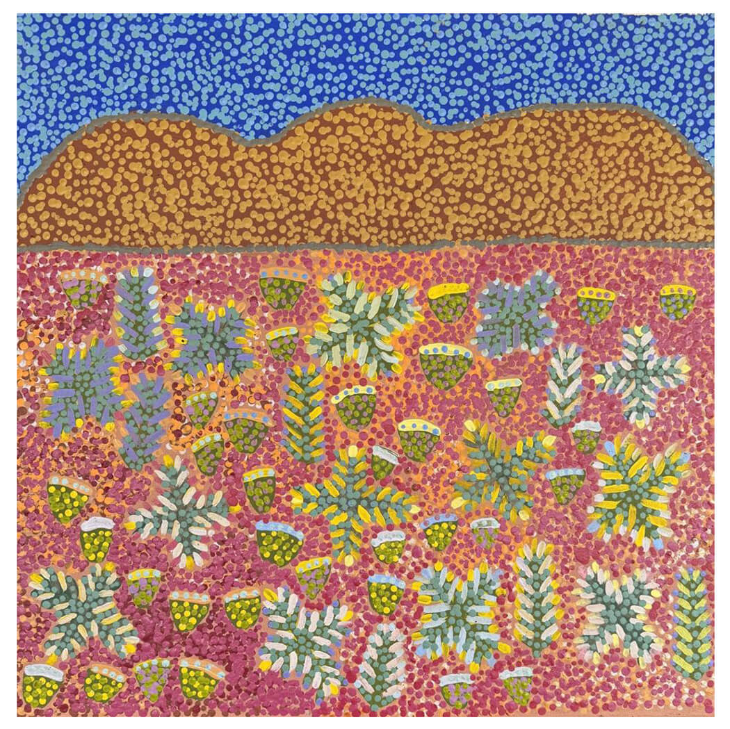 Aboriginal Art for Sale by Rosemary Ngwarraye Turner from the Artists of Ampilatwatja 793