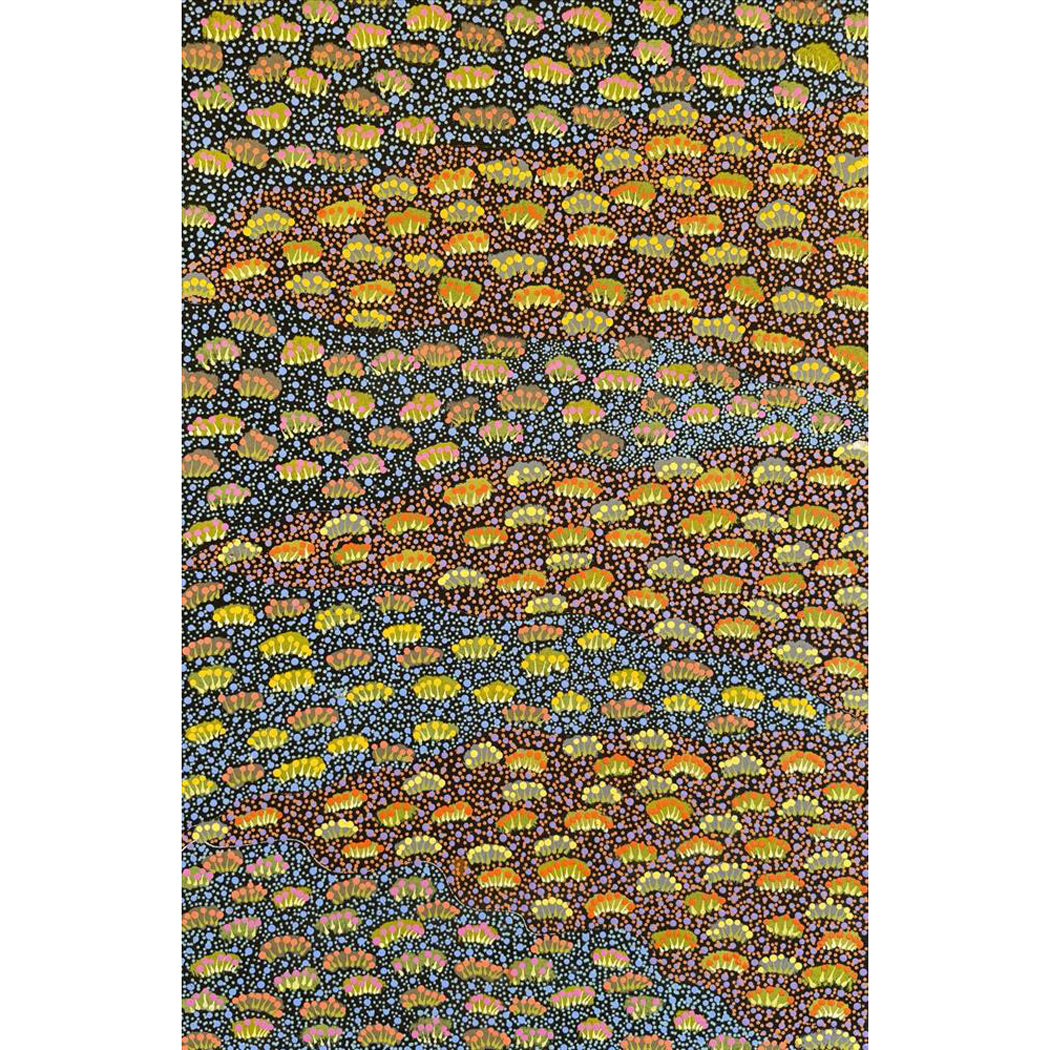 Aboriginal Art for Sale by Sevania Kemarre Bonney from the Artosts of Ampilatwatja 