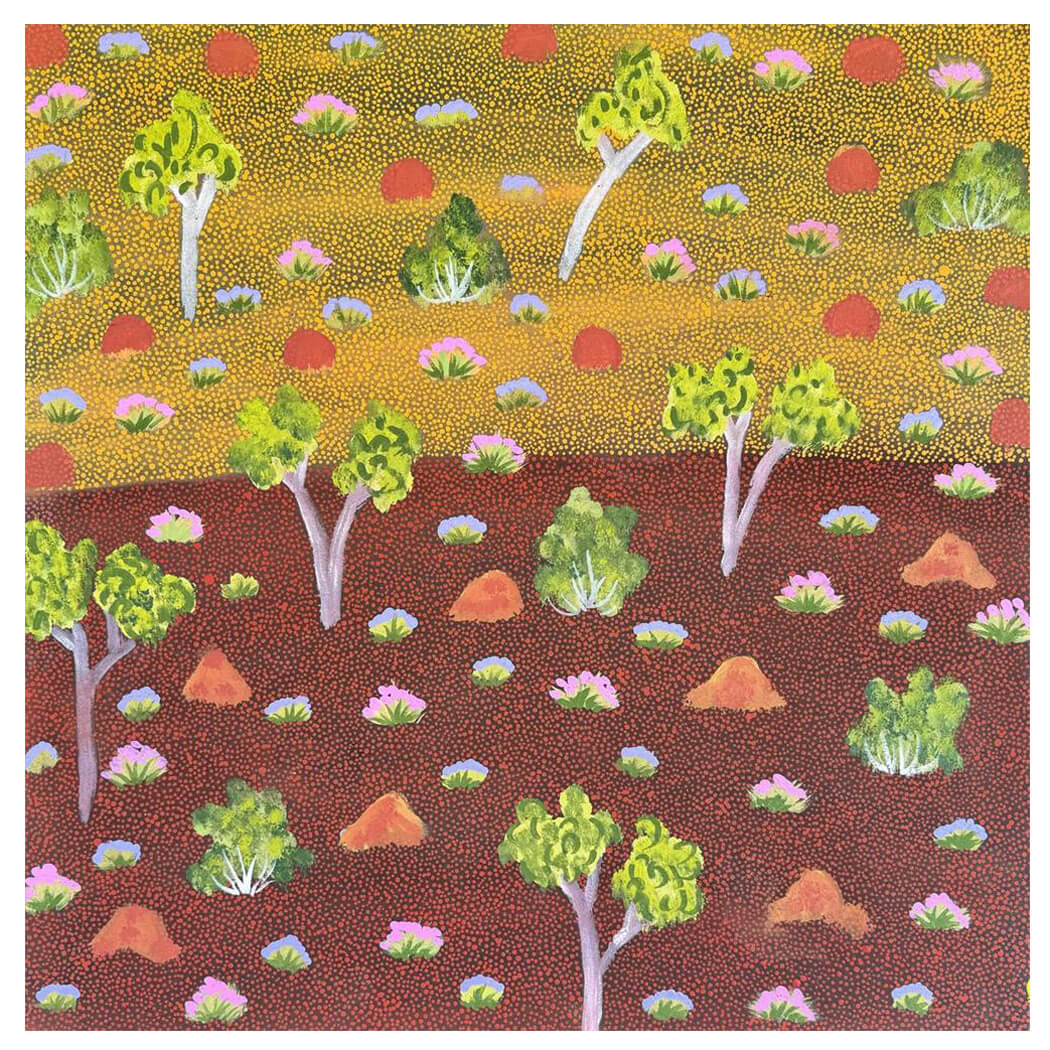 Aboriginal Artworks for Sale by Alec Pula Lewis from the Artists of Ampilatwatja 732