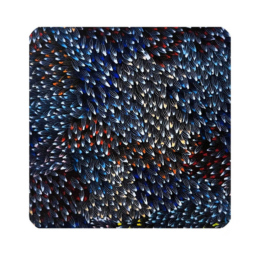 Aboriginal Souvenir Coasters by Abie Loy Kemarre from Utopia and Made in Australia