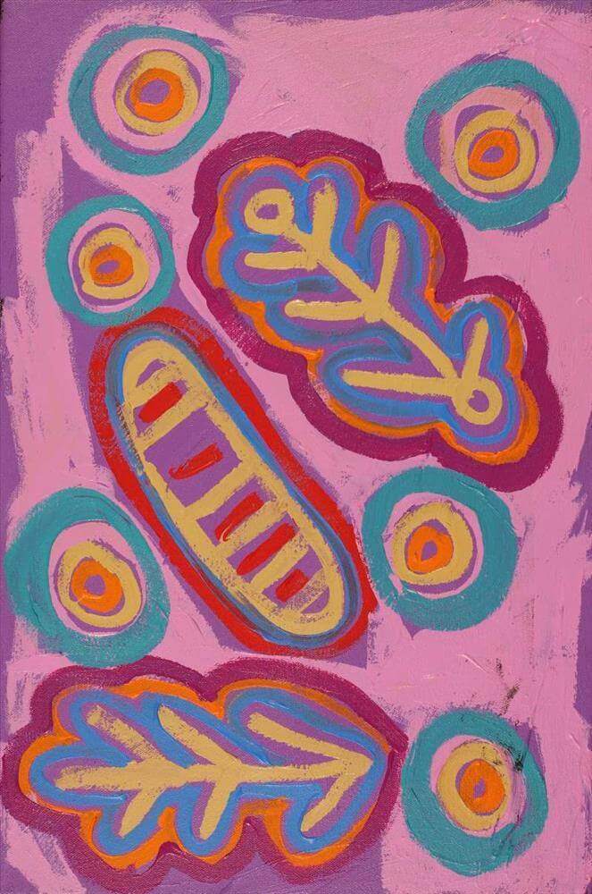 Aboriginal Art for Sale Sydney by Saraeva Napangardi Marshall 5228