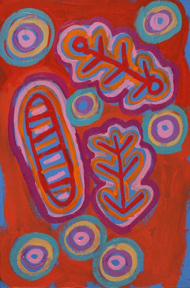 Aboriginal Art for Sale by Saraeva Napangardi Marshall 5229