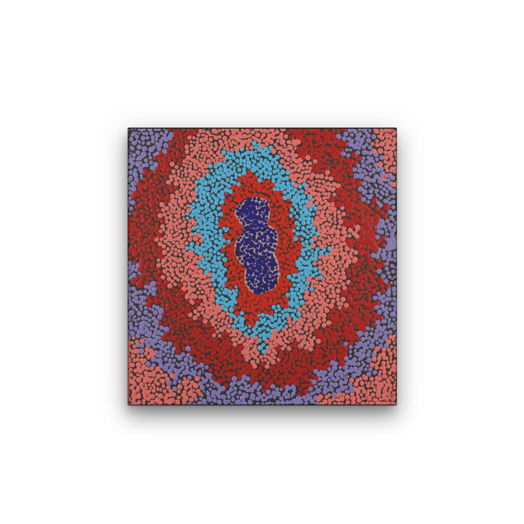 Affordable Aboriginal Art for Sale by Peggy Napurrurla Granites 1717