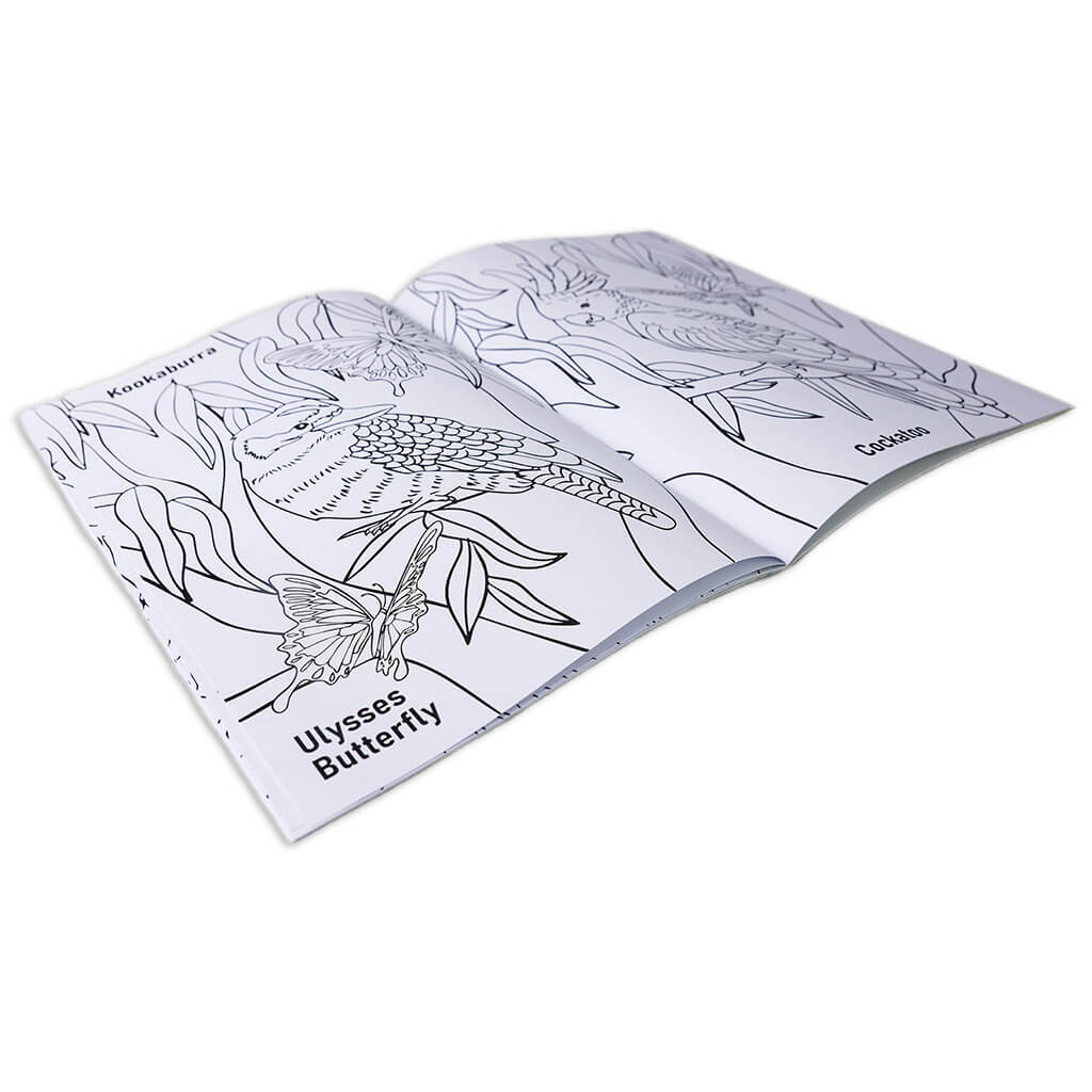 Australian Made aussie animals colouring in book for the best souvenirs