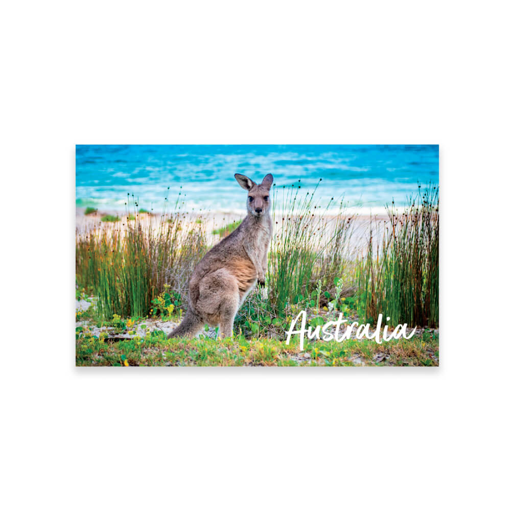 Kangaroo Souvenir Magnet Australian Made by BitsofAustralia
