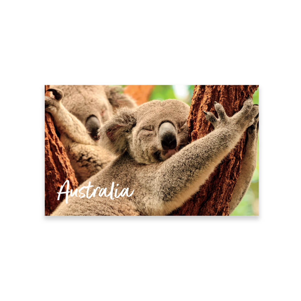 Koala Souvenir Fridge Magnet Made in Australia by BitsofAustralia