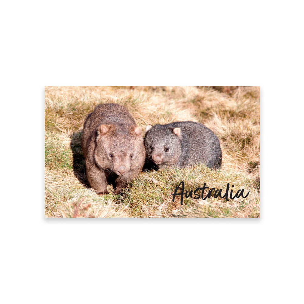 Wombat souvenir magnet made in Australlia