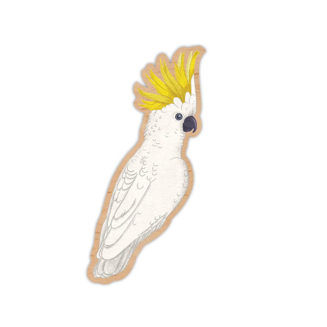 Australian Souvenir Sulphur Crested Cockatoo Magnet
