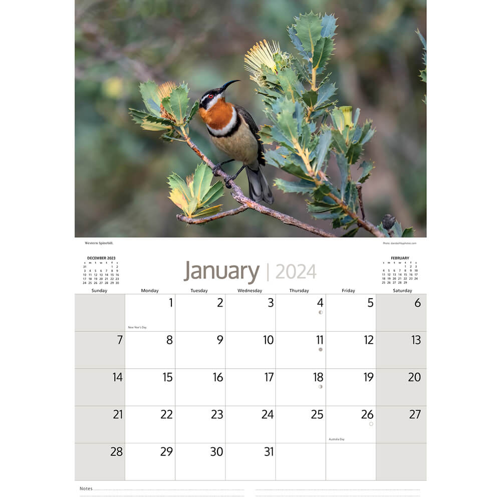 Australian Souvenirs 2024 Native Birds Calendar by Artique