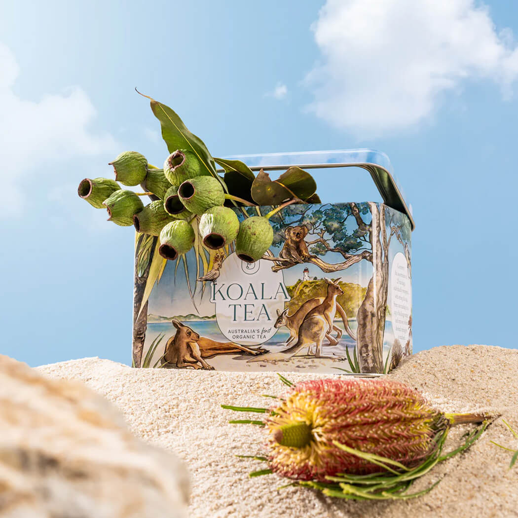 Australian Souvenir Kangaroo Gift Tin with an assortment of organic tea bags