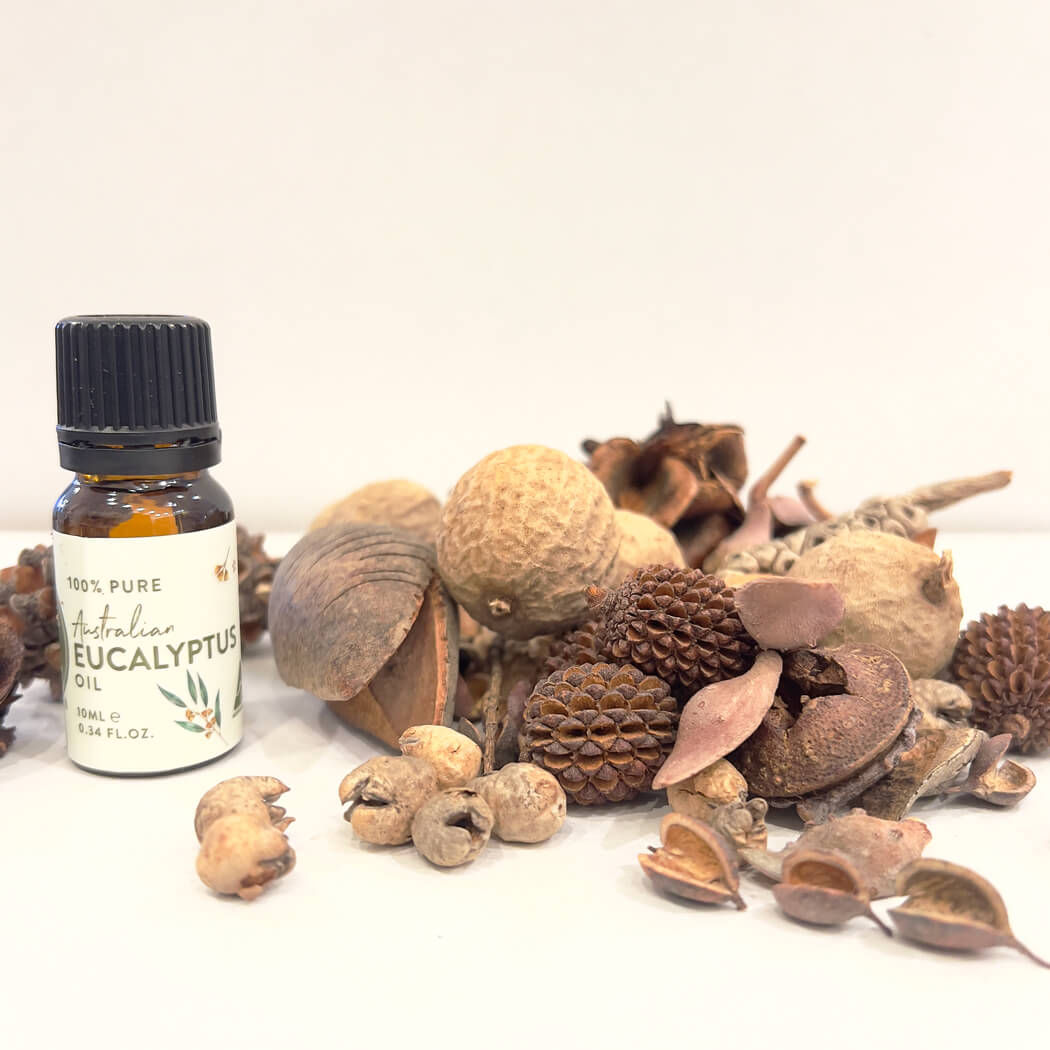 Australiana Gifts Gumnuts and Eucalyptus Oil