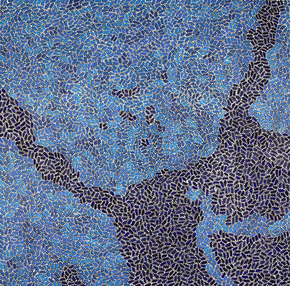 Buy Aboriginal Art Sydney by Nathania Nangala Granites 3369
