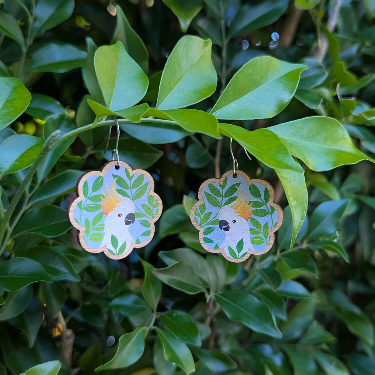 Australian Made cockatoo leaves wooden earrings