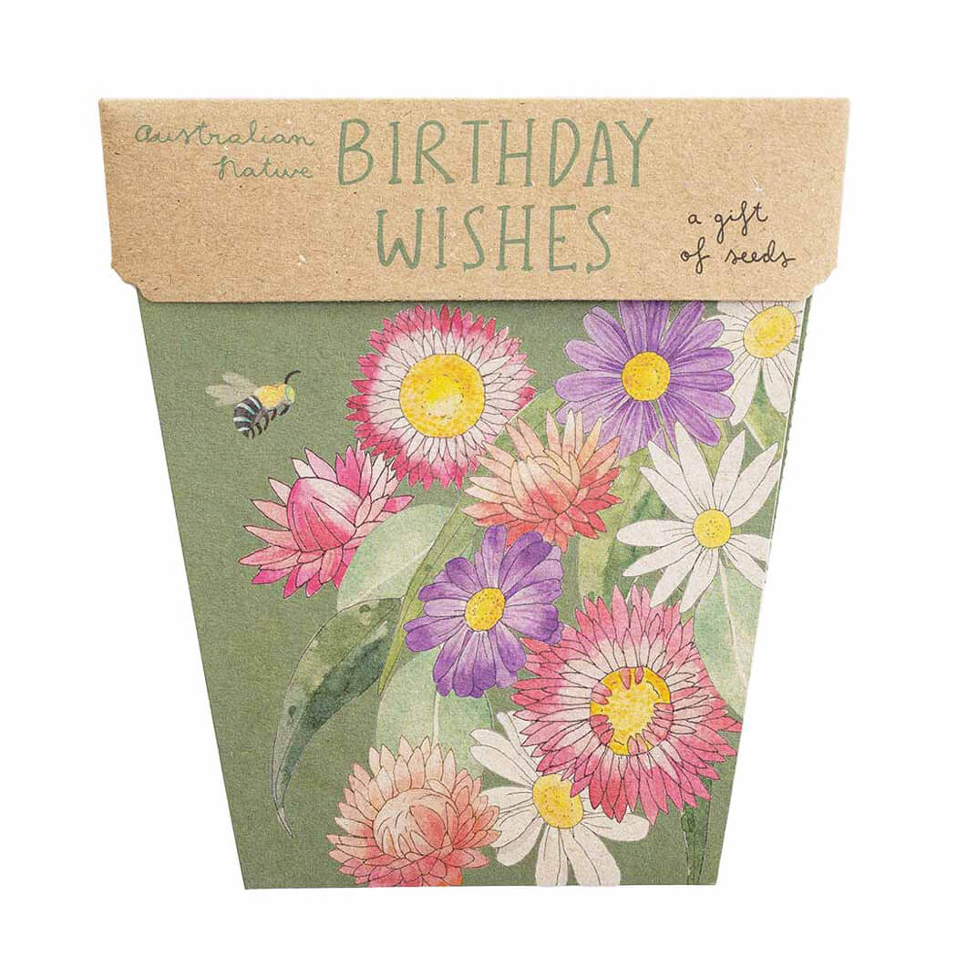 Birthday Wishes Gift of Seeds by Sow n Sow