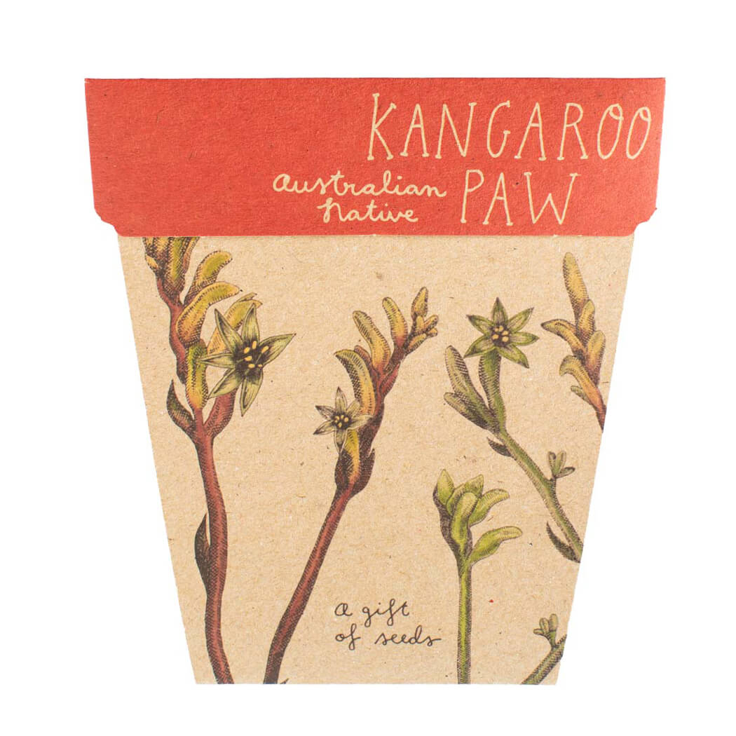 Australian Gifts fors Gardeners A Gift of Kangaroo Paw seeds by Sow n Sow 