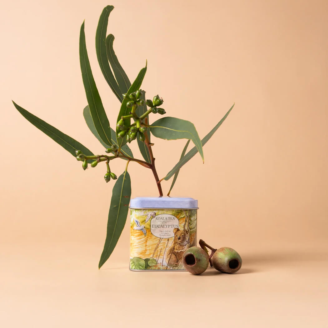 Australian Souvenir Eucalyptus Tea Mini Gift Tin