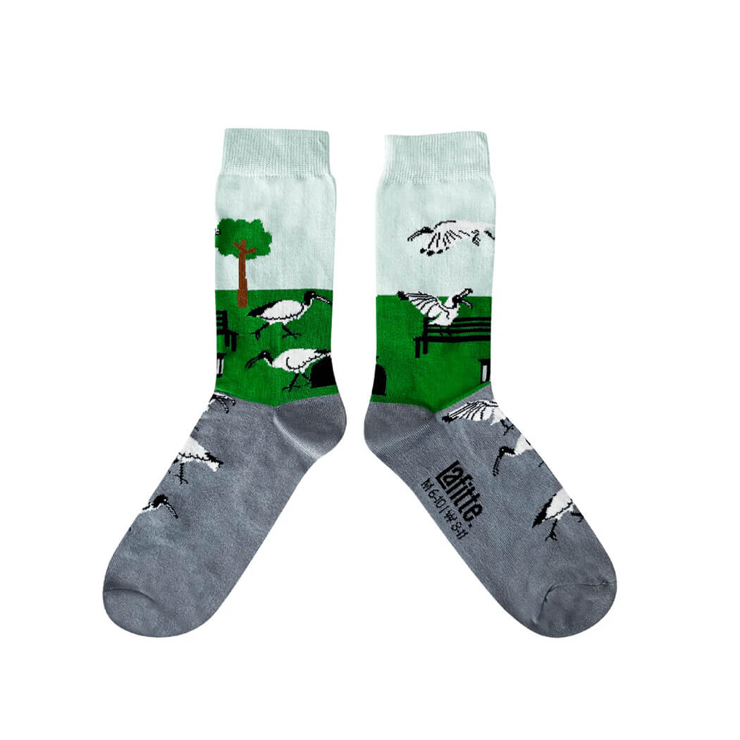 Novelty Australian Bin Chicken Socks for Souvenirs for Men