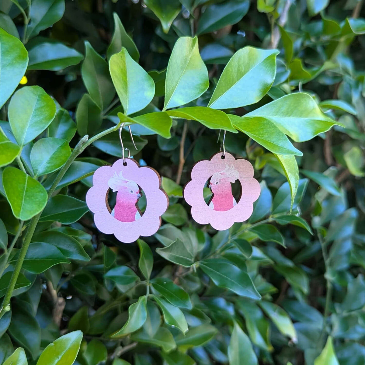 Pink Galah Wooden Earrings for Australiana Gifts
