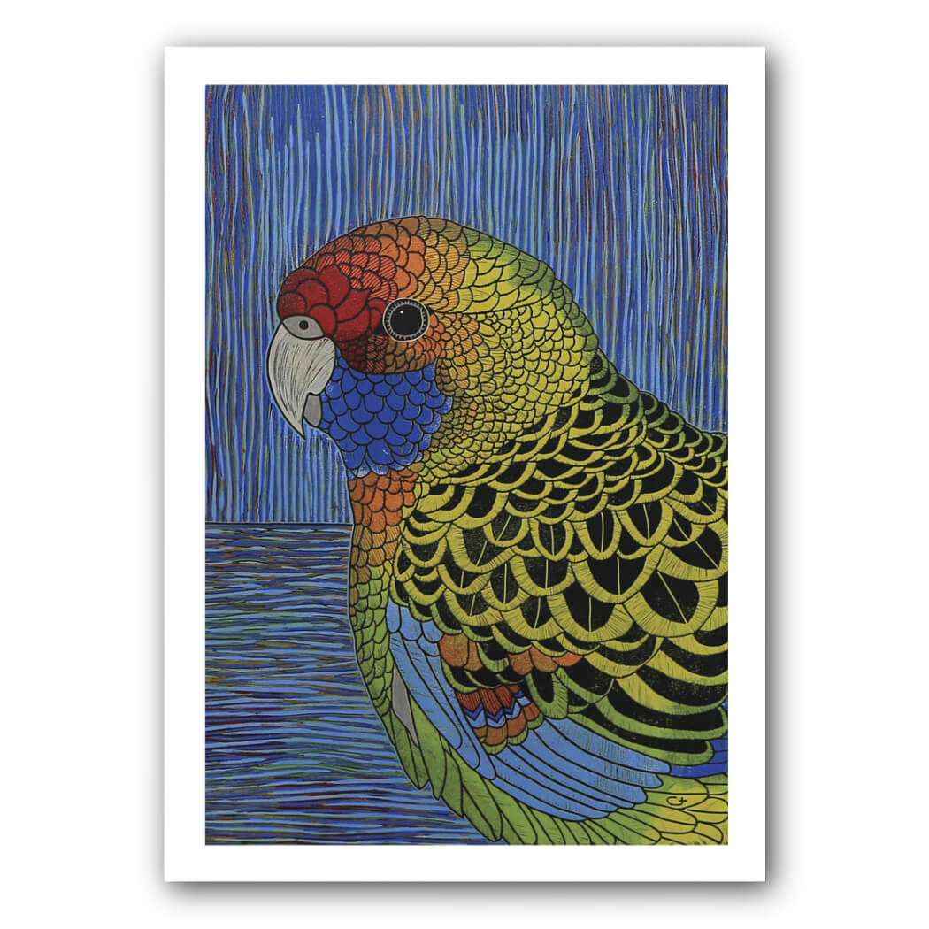 Rosella Australian Bird Print by Christine Upton