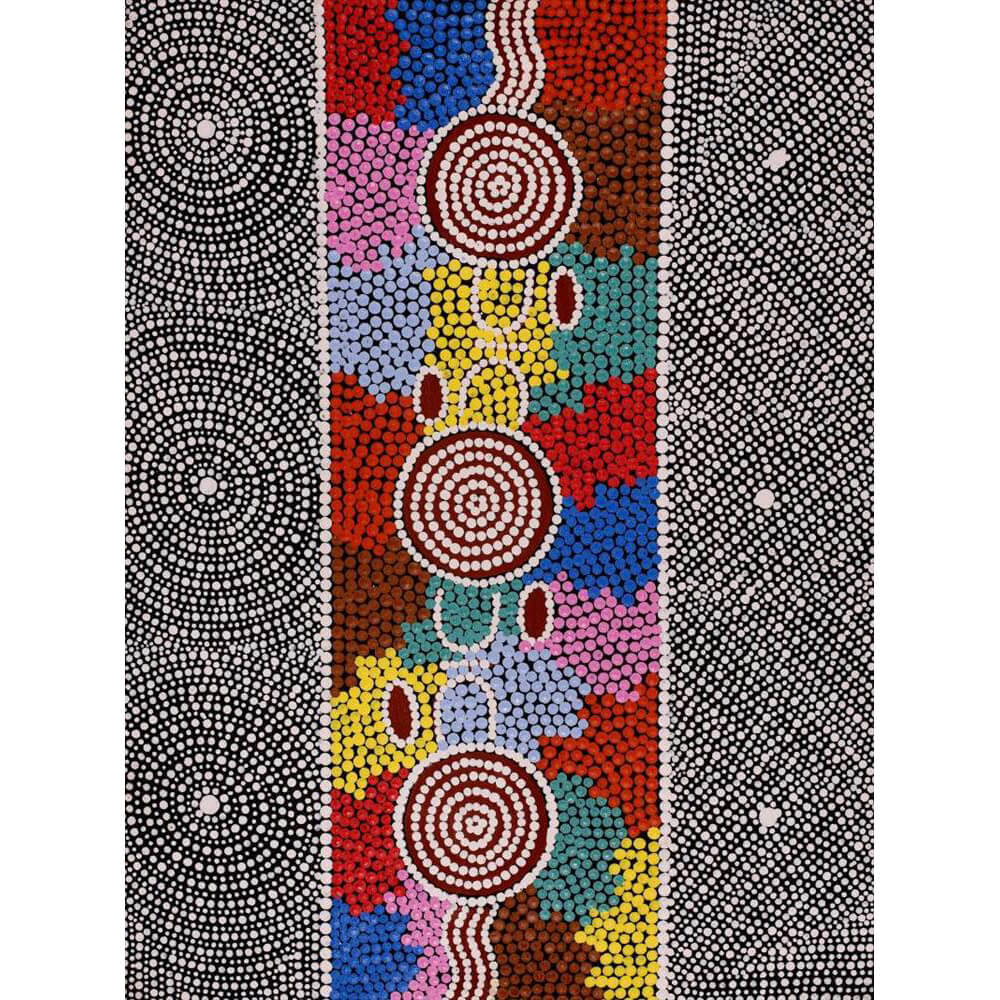 Aboriginal Art Gallery Sydney, paintings for sale by Rayleen Nangala Briscoe