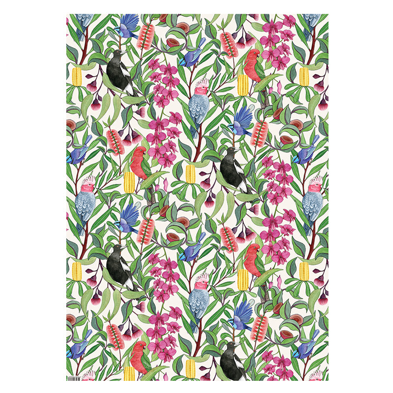Australian Gift Wrap Eco Friendly Wrapping Paper Native Birds Bits of