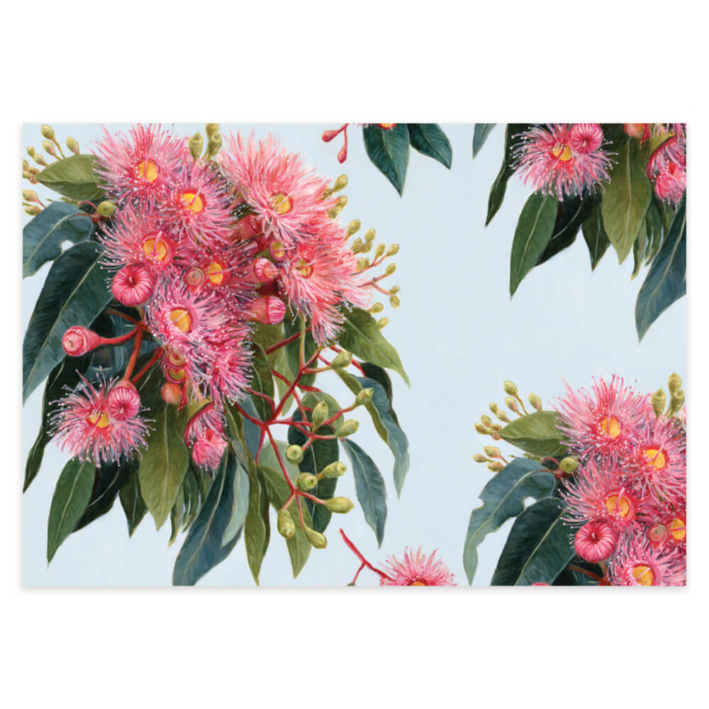 Australian Made Wrapping Paper Pink Gum Blossom by Earth Greetings