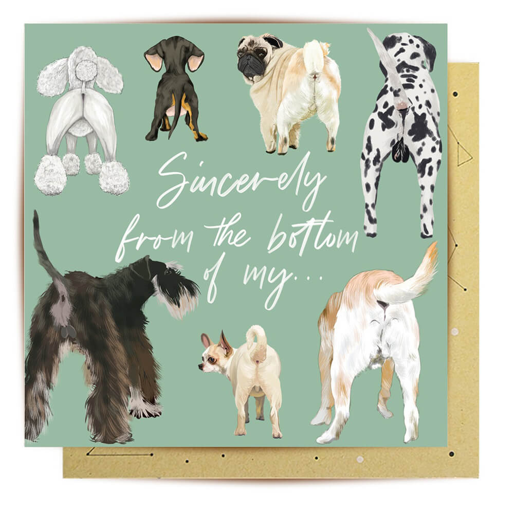 Australian Novelty Greeting Cards Dogs Themed