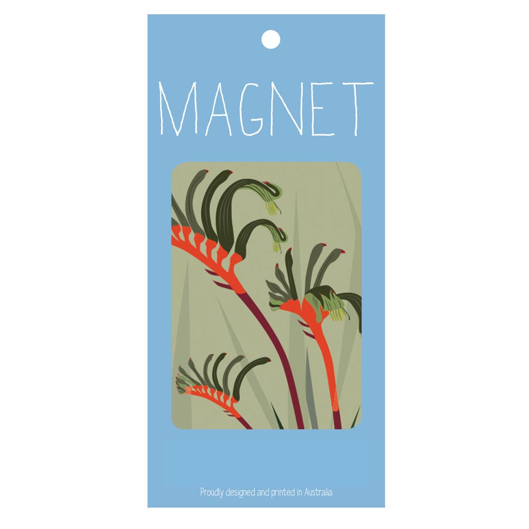 Australian Souvenir Magnet - Kangaroo Paw illustration