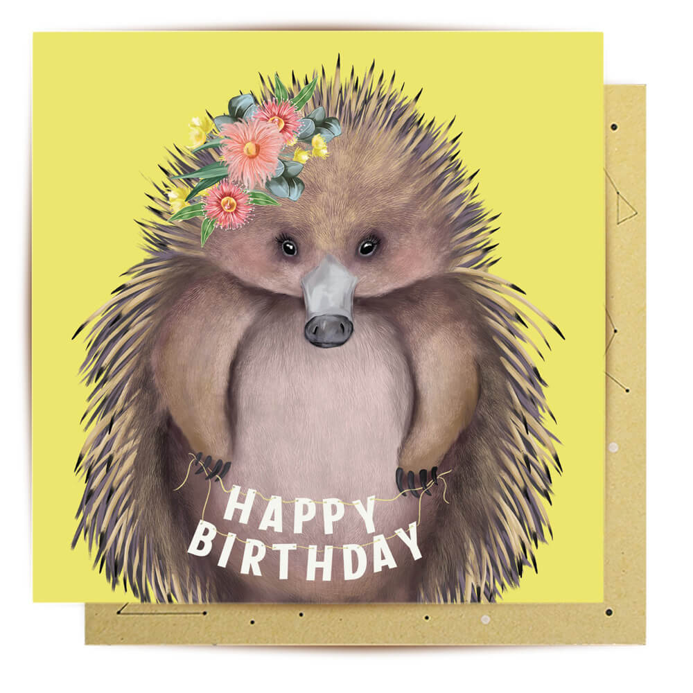 Australian Themed Birthday Greeting Card Echidna La La Land