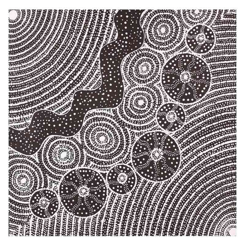 Authentic Aboriginal Wall Art Australia by Natasha Nakamarra Oldfield
