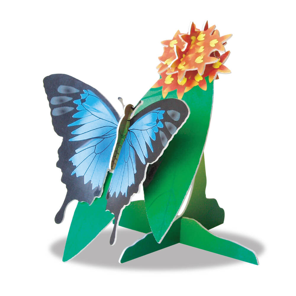 Butterfly Gifts Australia 3D Card Ulysses Butterflies