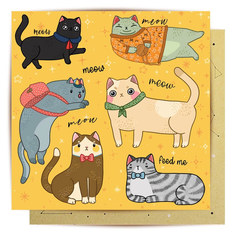 Cat Novelty Greeting Card Australia by La La Land