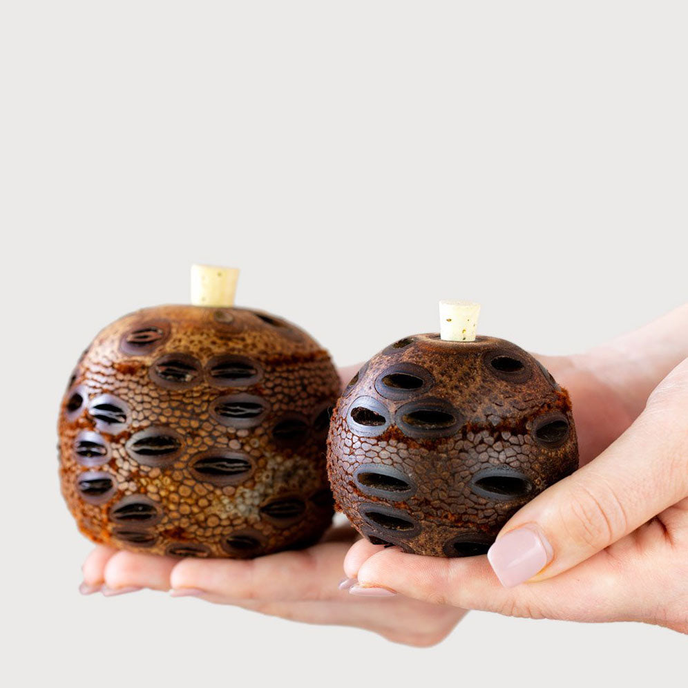 Essential Oils Diffuser - Organic Banksia Gift