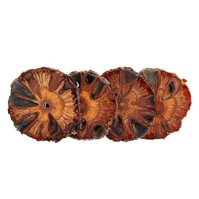 Australian Made Gifts & Souvenirs with the Pack of 6 Banksia Coasters -by Banksia Gifts. For the best Australian online shopping for a Homewares - 1