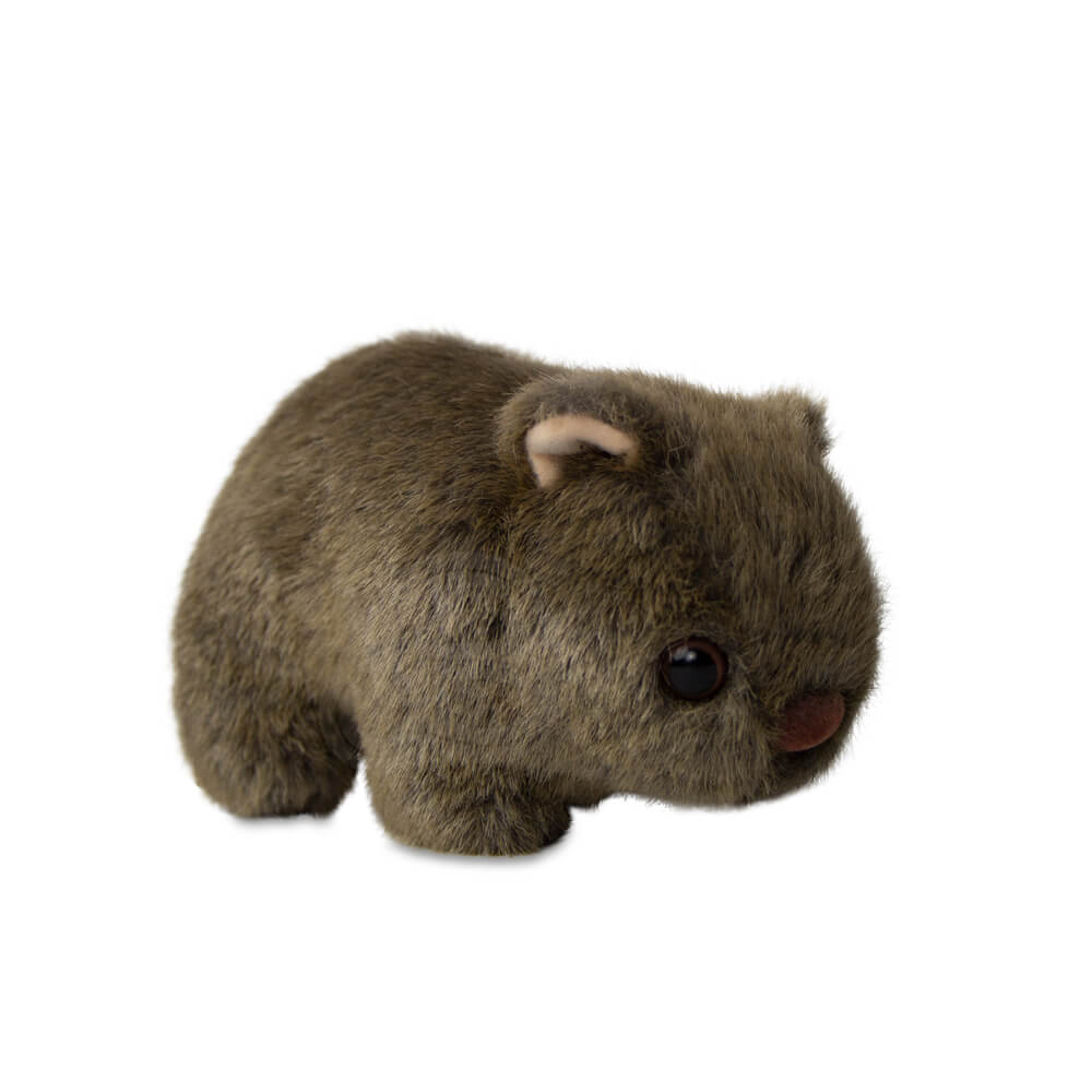 Wombat Soft Toy Australian Souvenirs